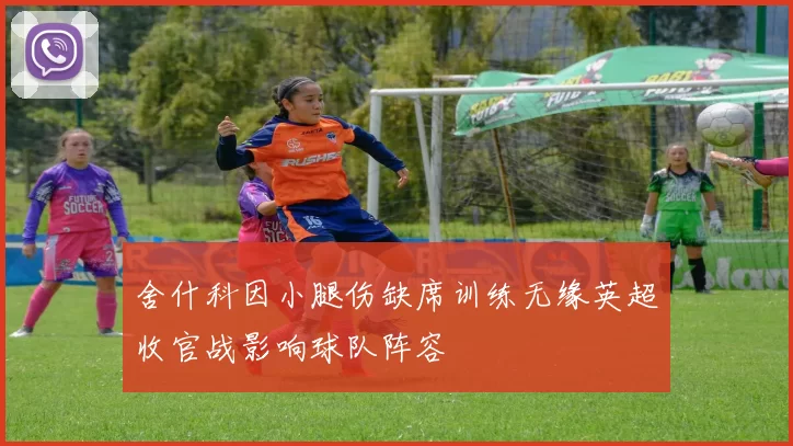 舍什科因小腿伤缺席训练无缘英超收官战影响球队阵容